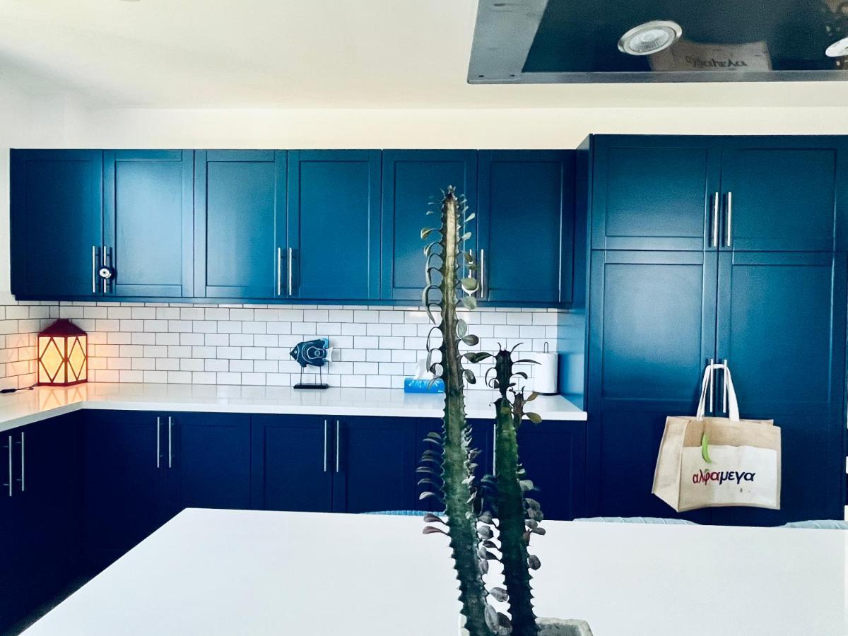 라르나카 The Blue House 빌라 외부 사진